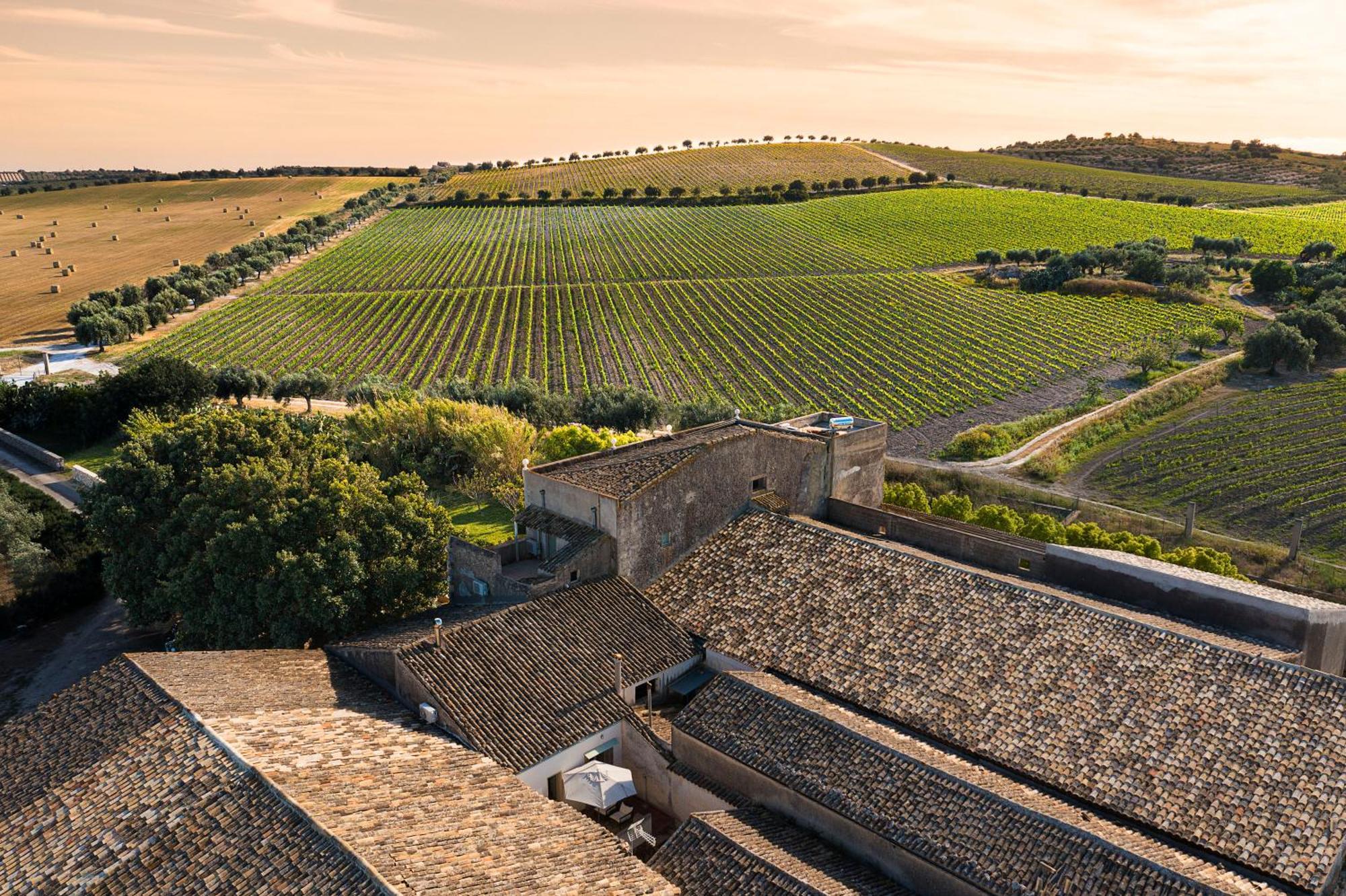 Masseria Baroni Casa Bonivini Dış mekan fotoğraf